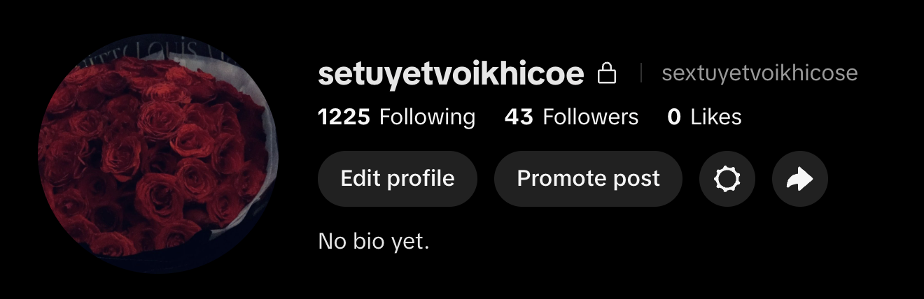 TikTok profile 1